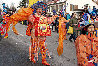 Schr&auml;ge V&ouml;gel